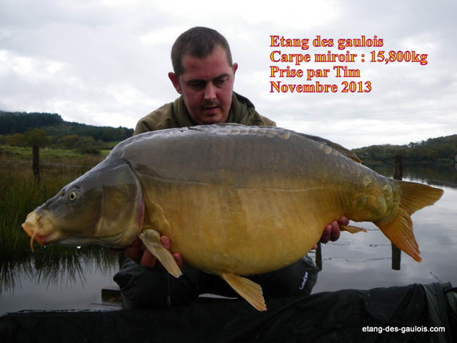 carpe-miroir-15kg800-tim-nov2013_zoo