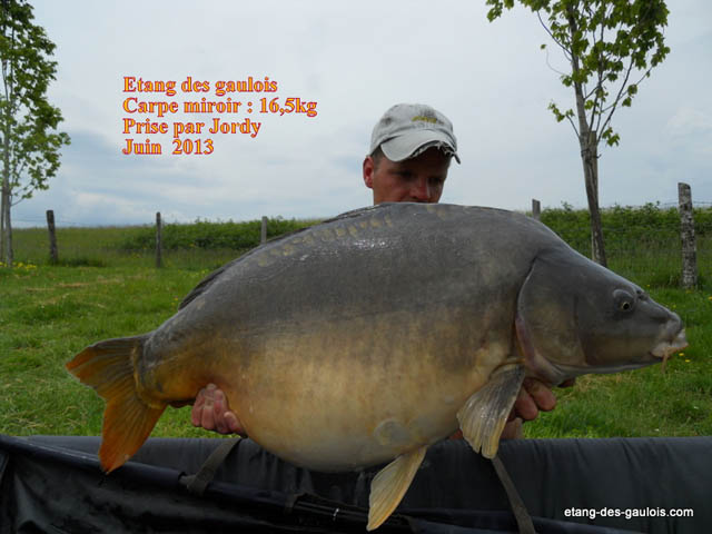 carpe-miroir-16kg5-jordy-juin-2013_zoo