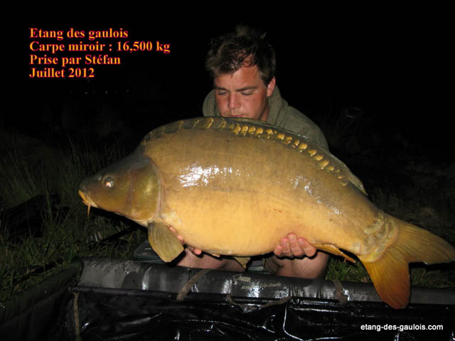 carpe-miroir-16kg500-Stefan-juillet2012_big