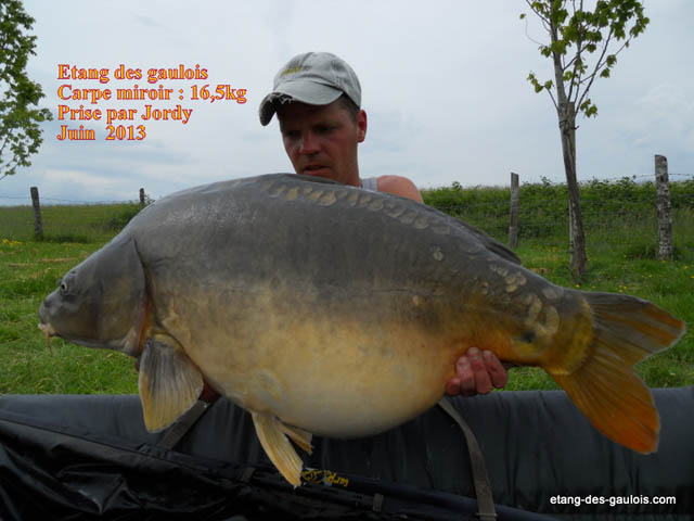 carpe-miroir-16kg500-jordy-juin-2013_zoo
