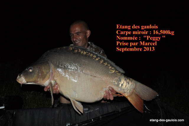 carpe-miroir-16kg500-marcel-sept2013_zoo