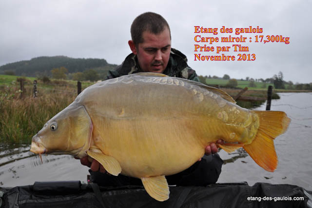 carpe-miroir-17kg300-tim-nov2013_zoo