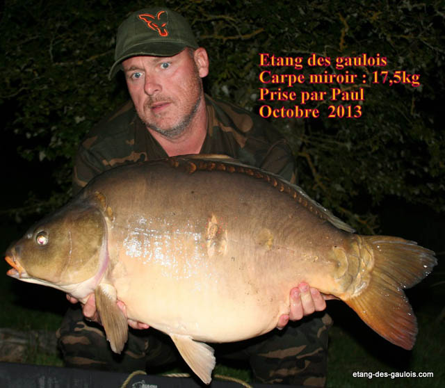 carpe-miroir-17kg500-Paul-oct-2013_zoo