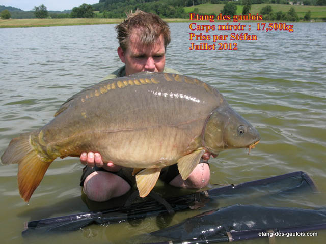 carpe-miroir-17kg500-Stefan-Juillet 2012_big