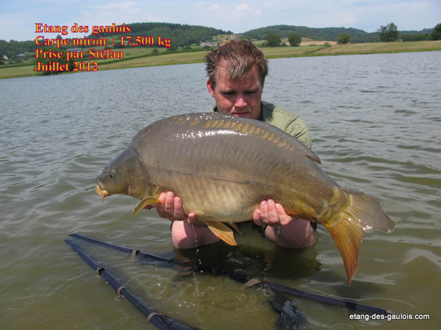 carpe-miroir-17kg500-Stefan-juillet2012_big