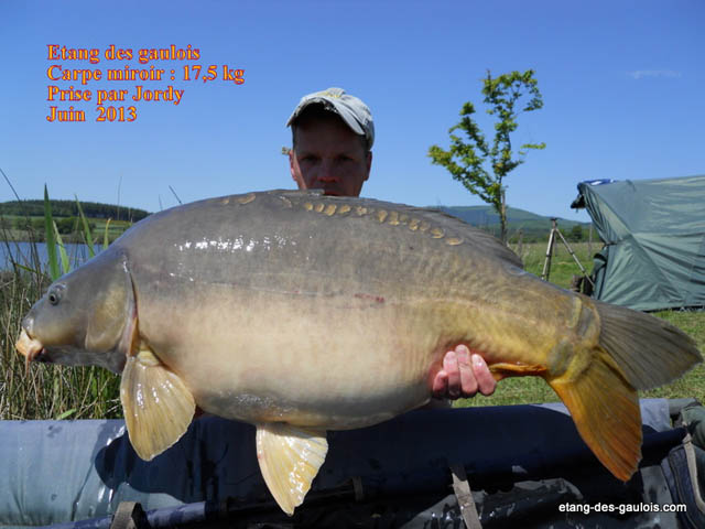 carpe-miroir-17kg500-jordy-juin-2013_zoo