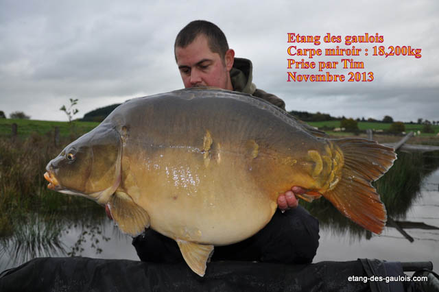 carpe-miroir-18kg200-tim-nov2013_zoo