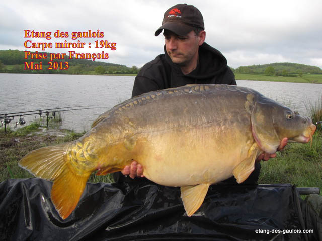 carpe-miroir-19kg-francois-mai-2013_zoo