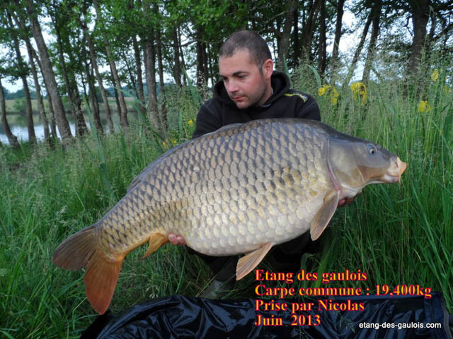 carpe-miroir-19kg400-nicolas-juin-2013_zoo