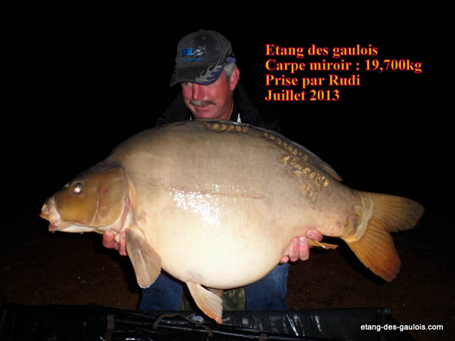 carpe-miroir-19kg700-rudi-juillet-2013_zoo