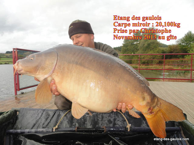carpe-miroir-20kg-christophe-nov2013_zoo