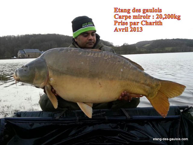 carpe-miroir-20kg200-charith-avril-2013