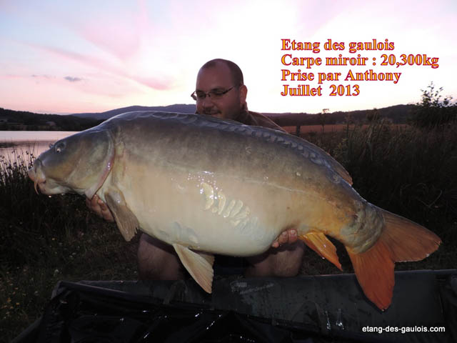 carpe-miroir-20kg300-antony-juillet-2013_zoo