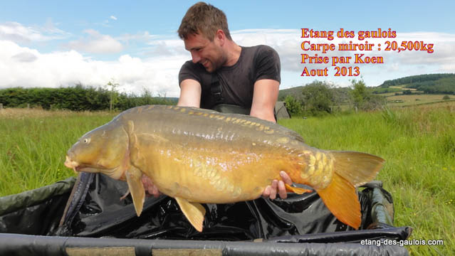 carpe-miroir-20kg500-koen-aout-2013_zoo