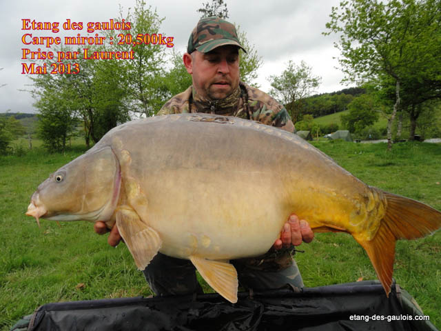 carpe-miroir-20kg500-laurent-mai-2013_zoo