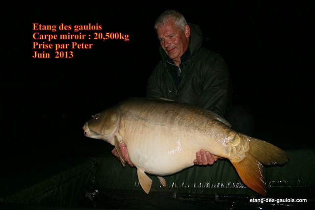 carpe-miroir-20kg500-peter-juin-2013_zoo