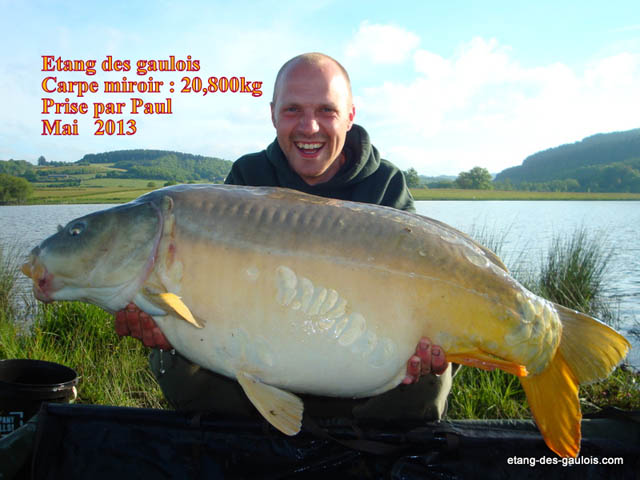 carpe-miroir-20kg800-paul-mai-2013_zoo