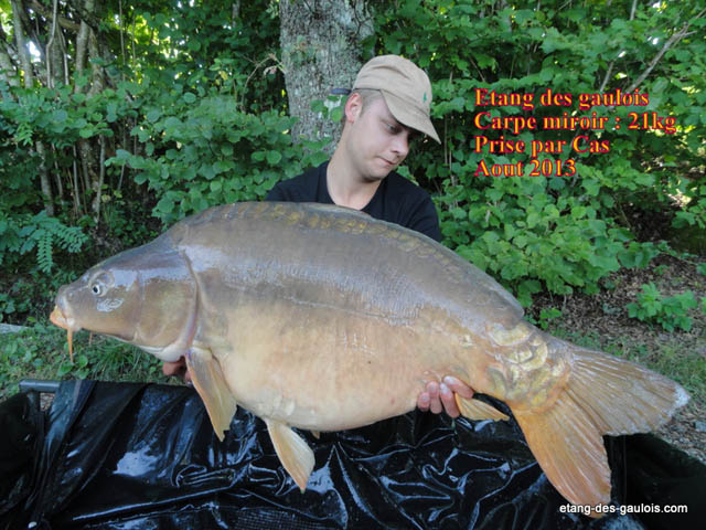 carpe-miroir-21kg-cas-aout-2013_zoo