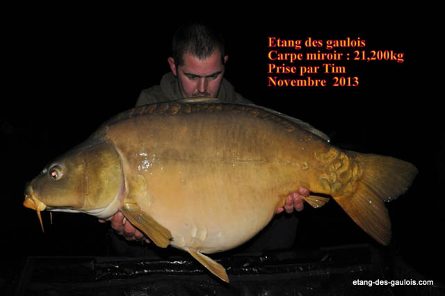 carpe-miroir-21kg200-tim-nov2013_zoo