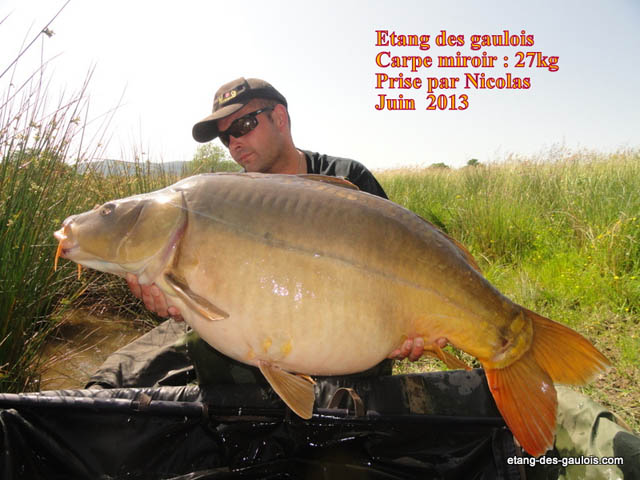carpe-miroir-27kg-nicolas-juin-2013_zoo