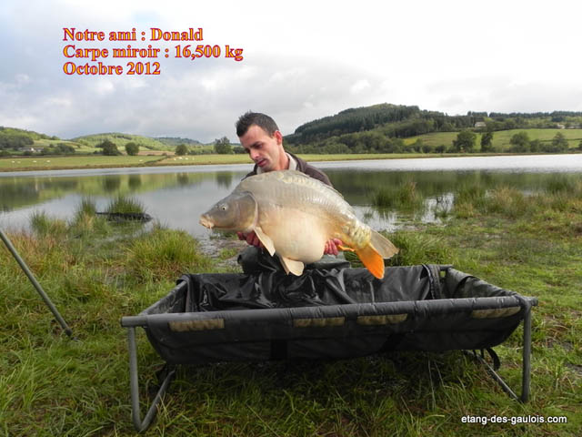 carpe-miroir-Donald-16kg500-oct-2012