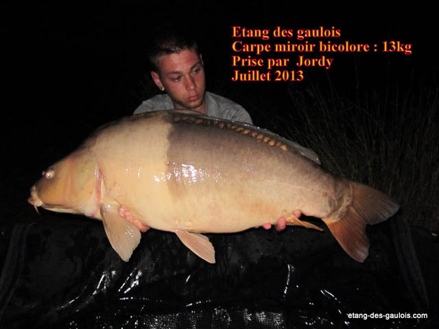carpe-miroir-bicolore-13kg-jordy-juillet-2013_zoo