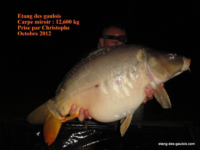 carpe-miroir-christophe-12kg600-oct-2012