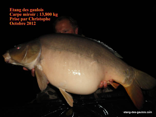 carpe-miroir-christophe-13kg800-oct-2012