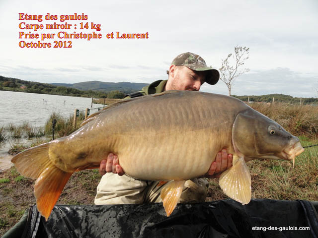 carpe-miroir-christophe-14kg-oct2012