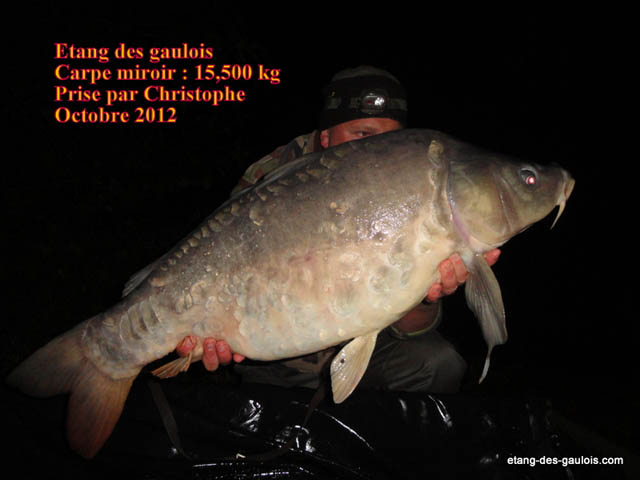 carpe-miroir-christophe-15kg500-oct-2012
