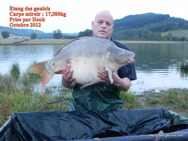 carpe-miroir-henk-17kg500-oct-2012