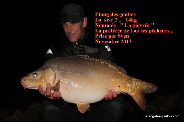 carpe-miroir-la-poivree-13kg800-sven-nov2013_zoo