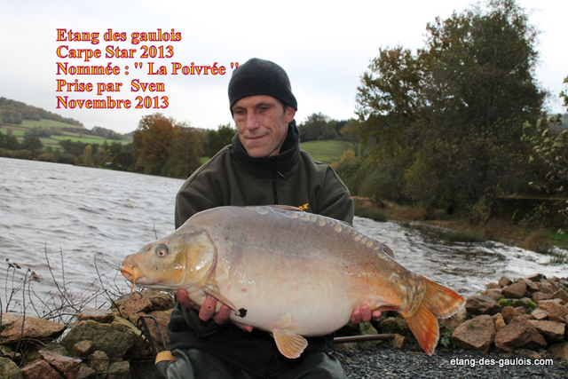 carpe-miroir-la-poivree-13kg800-sven-nov2013_zoo2