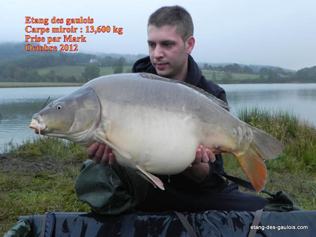 carpe-miroir-mark-13kg600-Oct-2012