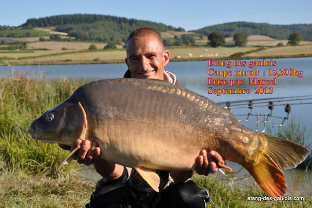 carpe-miroir2-15kg300-marcel-sept2013_zoo