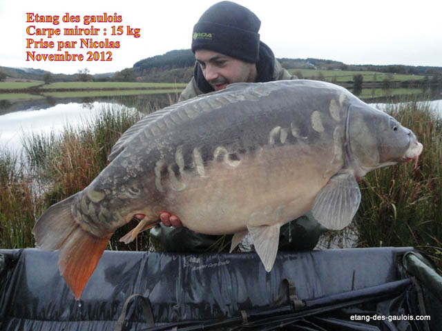 carpe-miroir2-Nicolas-15kg-nov2012