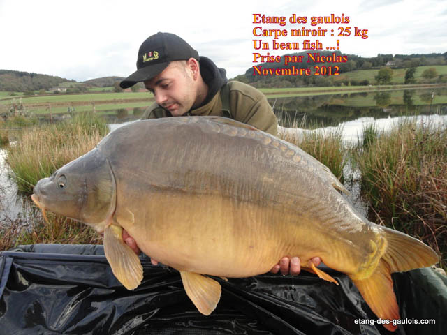 carpe-miroir2-Nicolas-25kg-nov2012