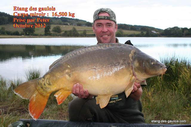 carpe-miroir2-peter-16kg500-oct-2012