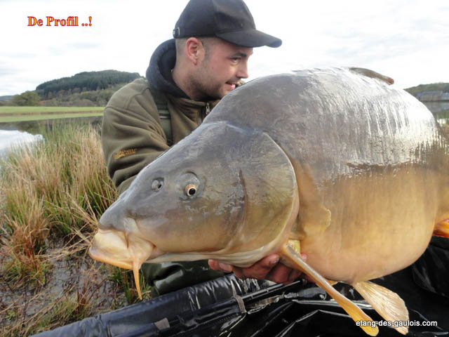 carpe-miroir3-Nicolas-25kg-nov2012-profil