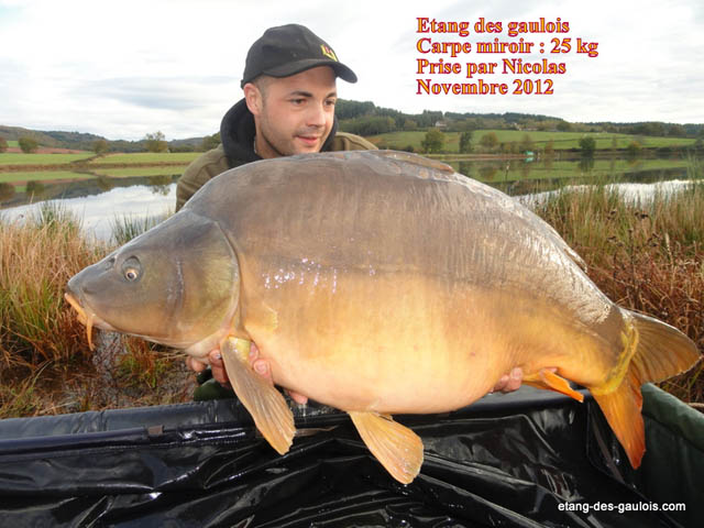 carpe-miroir4-Nicolas-25kg-nov2012