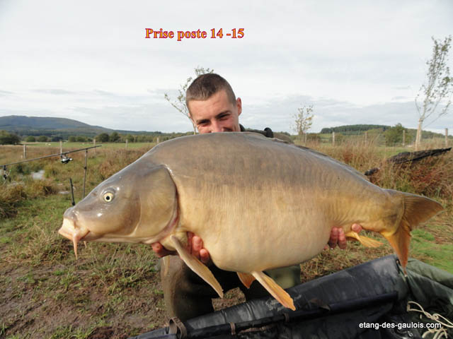 carpe-miroir5-Laurent-17kg-oct2012