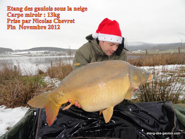 carpe2-miroir-13kg-Nicolas-nov-2012