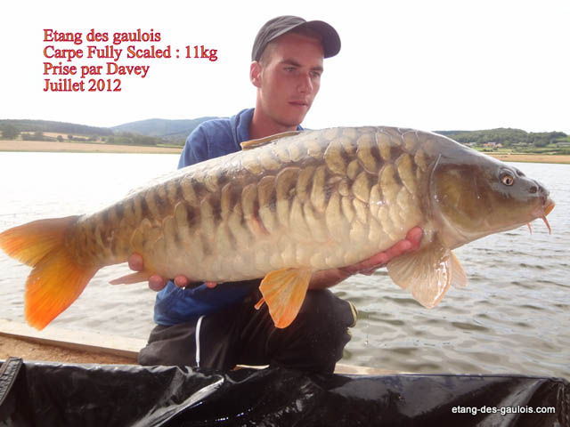 juillet2012-davey-Fully-11kg-big