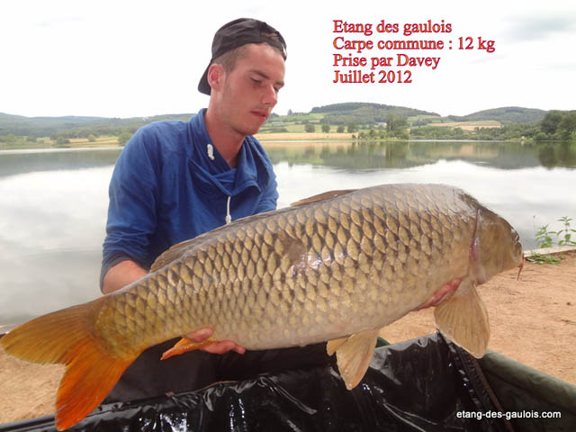 juillet2012-davey-commune-12kg-big