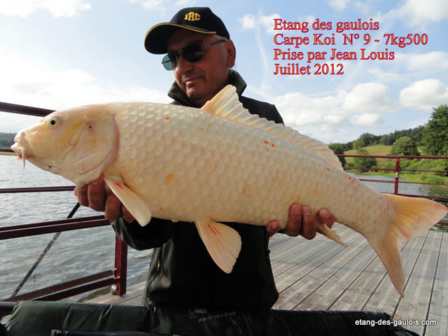 juillet2012-jean-louis-Koi-7kg5-big