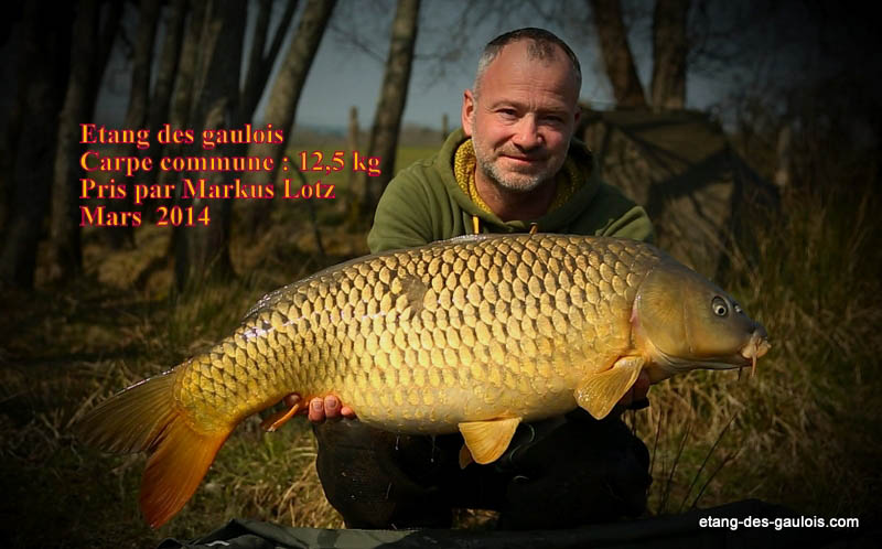 carpe-commune-12kg500-markus-mars-2014