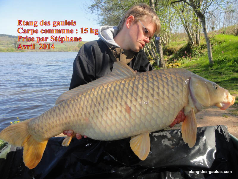 carpe-commune-15kg-stephane-tuot-Avril-2014