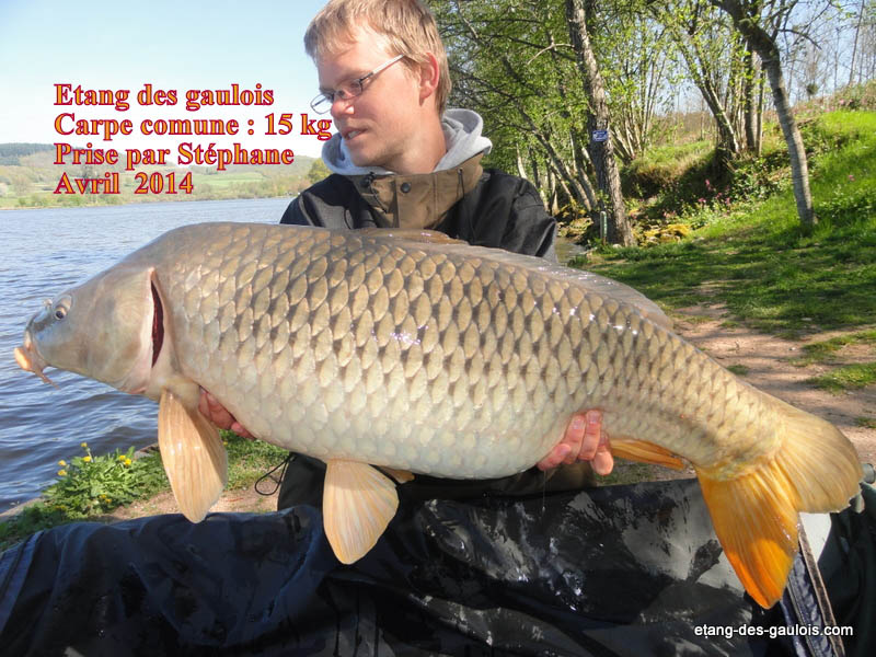 carpe-commune-15kg-stephane-tuot-Avril-2014_02