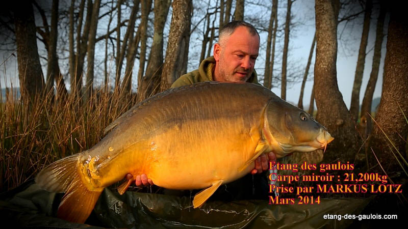 carpe-miroir-21kg200-markus-mars-2014