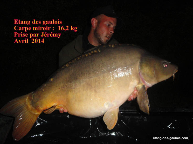 carpe-miroir-16kg200-jeremy-avril-2014